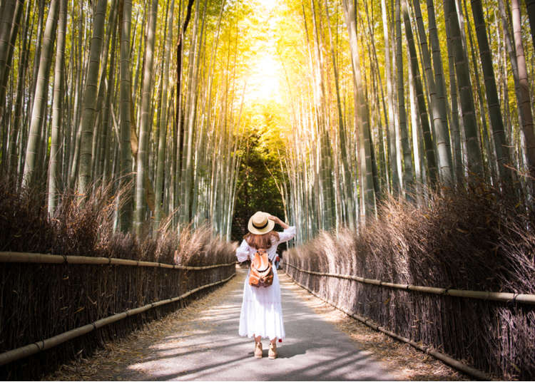 来一场去日本的旅行,充满生活气息的日本旅行