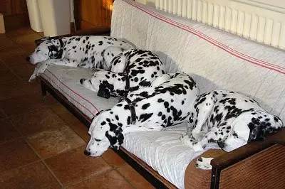 英国家庭花园建造,英国夫妇22年打造梦幻花园