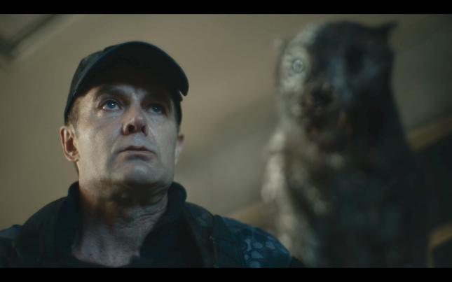 别吹了!这不是我们想要的大尺度