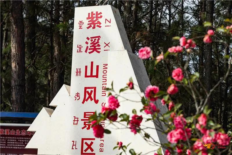 瞧!这花花世界谁不爱