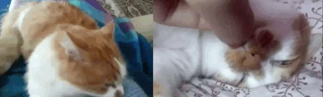 孩子膀胱容量130,儿童最大膀胱容量197正常吗