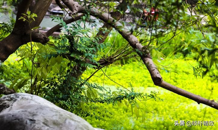 时代变了赚钱的本质没变,时代在变生意模式也要变