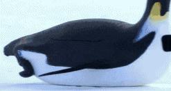 bbc纪录片揭露残忍人类对待动物,bbc动物纪录片造假事件