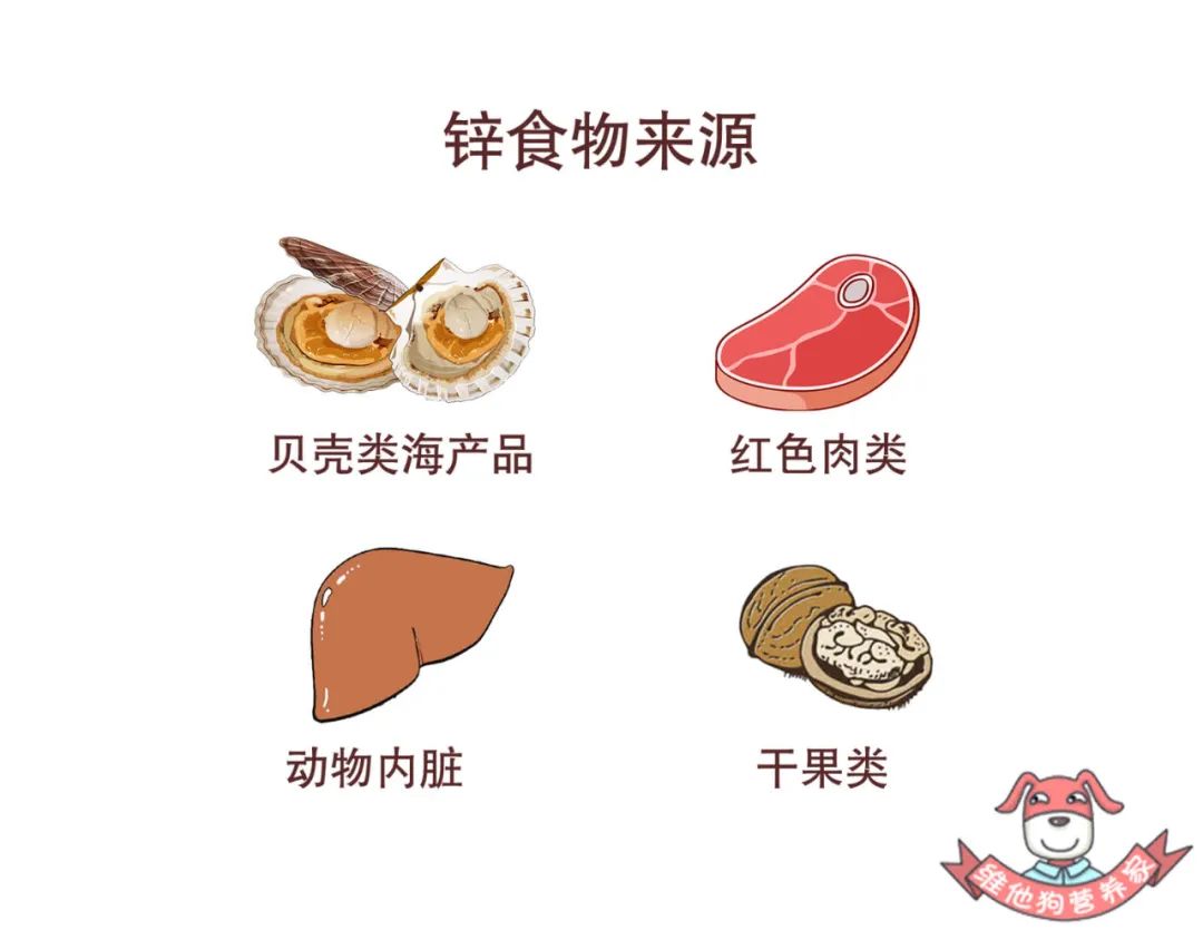 老是拉肚子放臭屁是怎么回事,最近老是拉肚子放臭屁是怎么回事