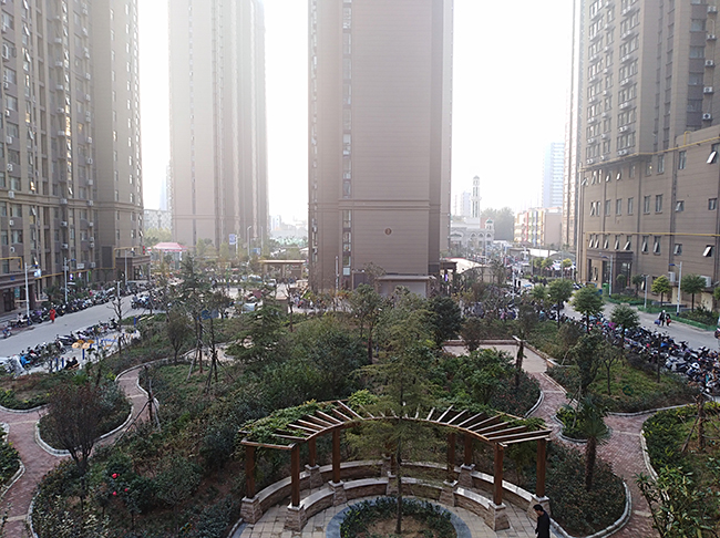 金水区排名全国第九,金水区高质量发展百强区