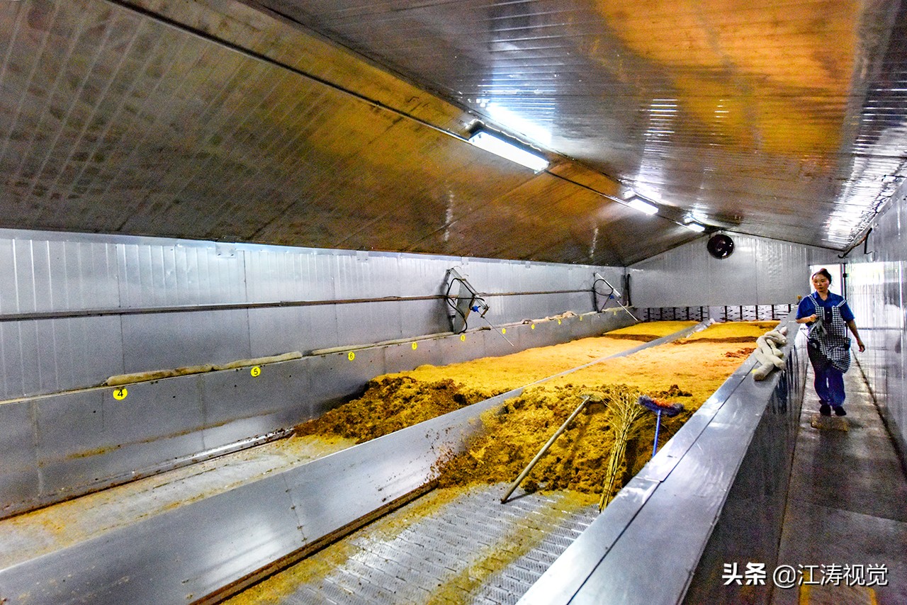 走进劲牌一场触及酒魂的健康文化,劲牌酒文化