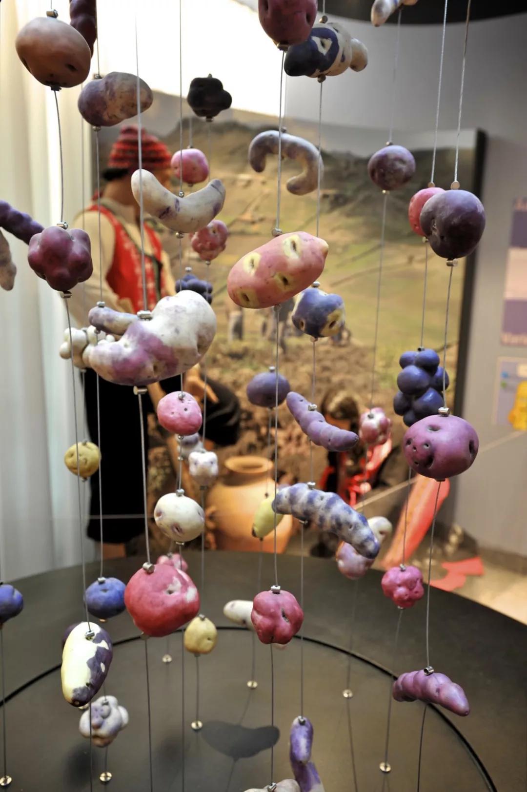 世界十大博物馆里面的东西,世界十大艺术博物馆