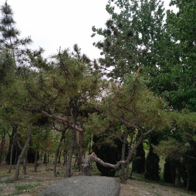 分享前提是要懂得尊重,分享一定要有内容吗