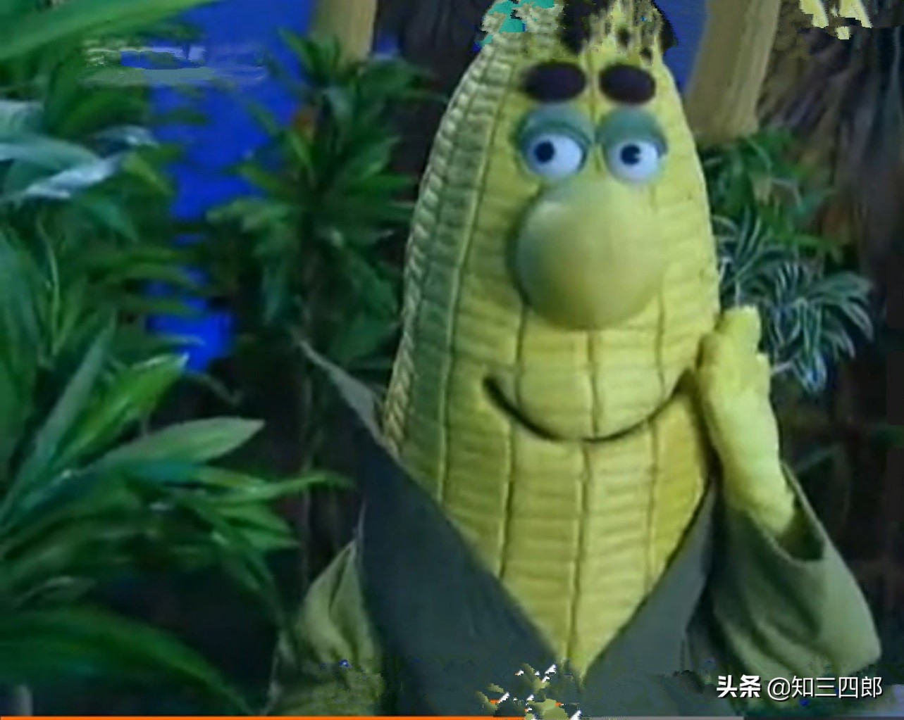 致青春回忆短片,致青春回忆经典视频