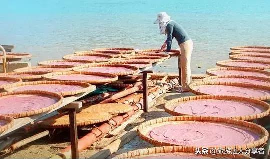 香港渔村美食,香港大澳渔村有什么海鲜餐厅