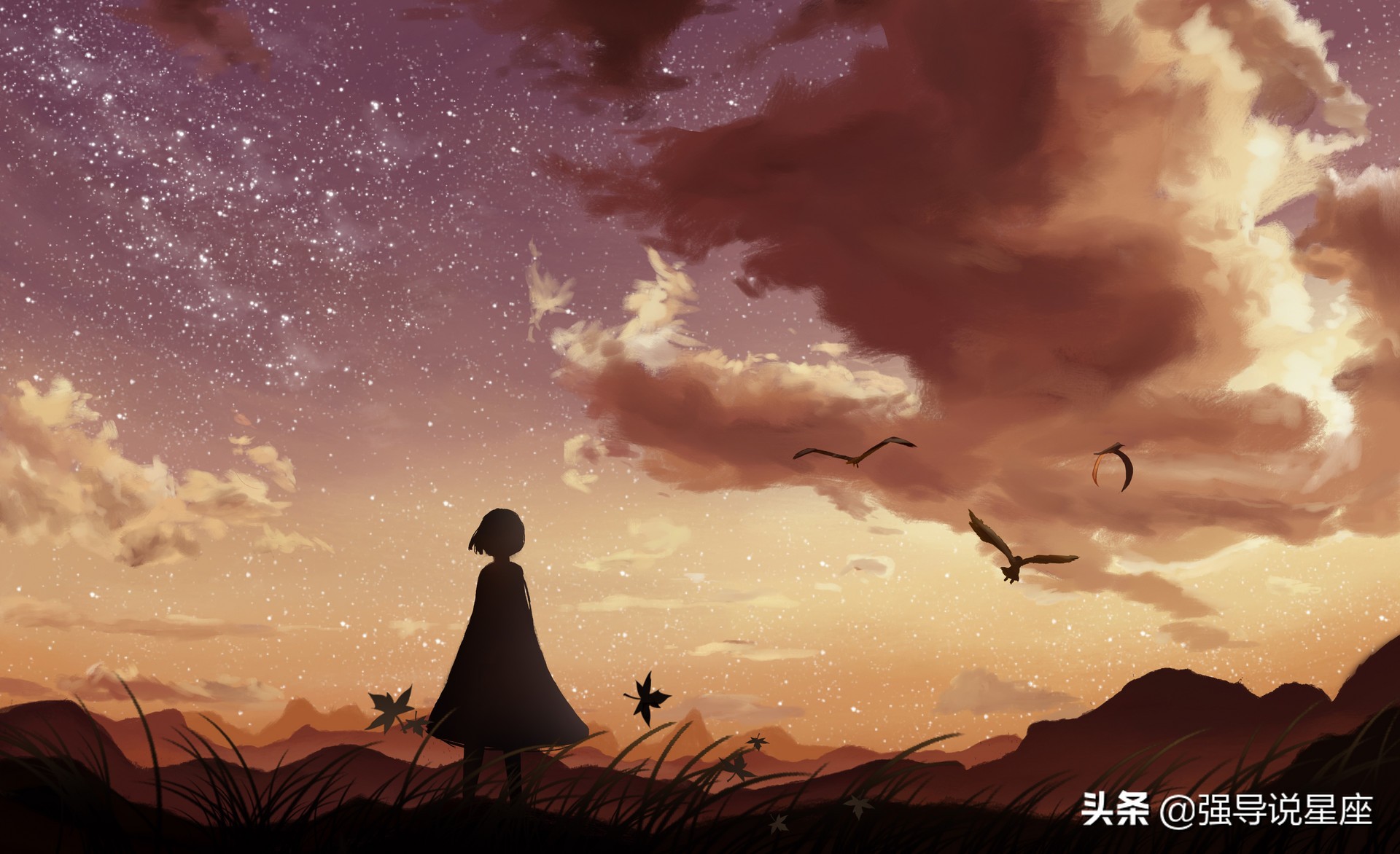 脾气倔强很难劝得住的两大星座,哪个星座能忍得了天蝎座