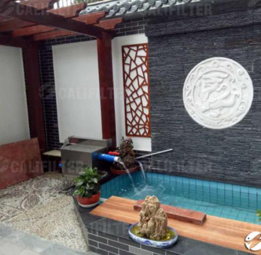 养锦鲤新手必备十大忠告,锦鲤饲养方法锦鲤一年能长多大