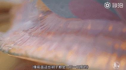 华师大油画系毕业的她，用纸改造广东传统花灯，还登上时尚杂志！