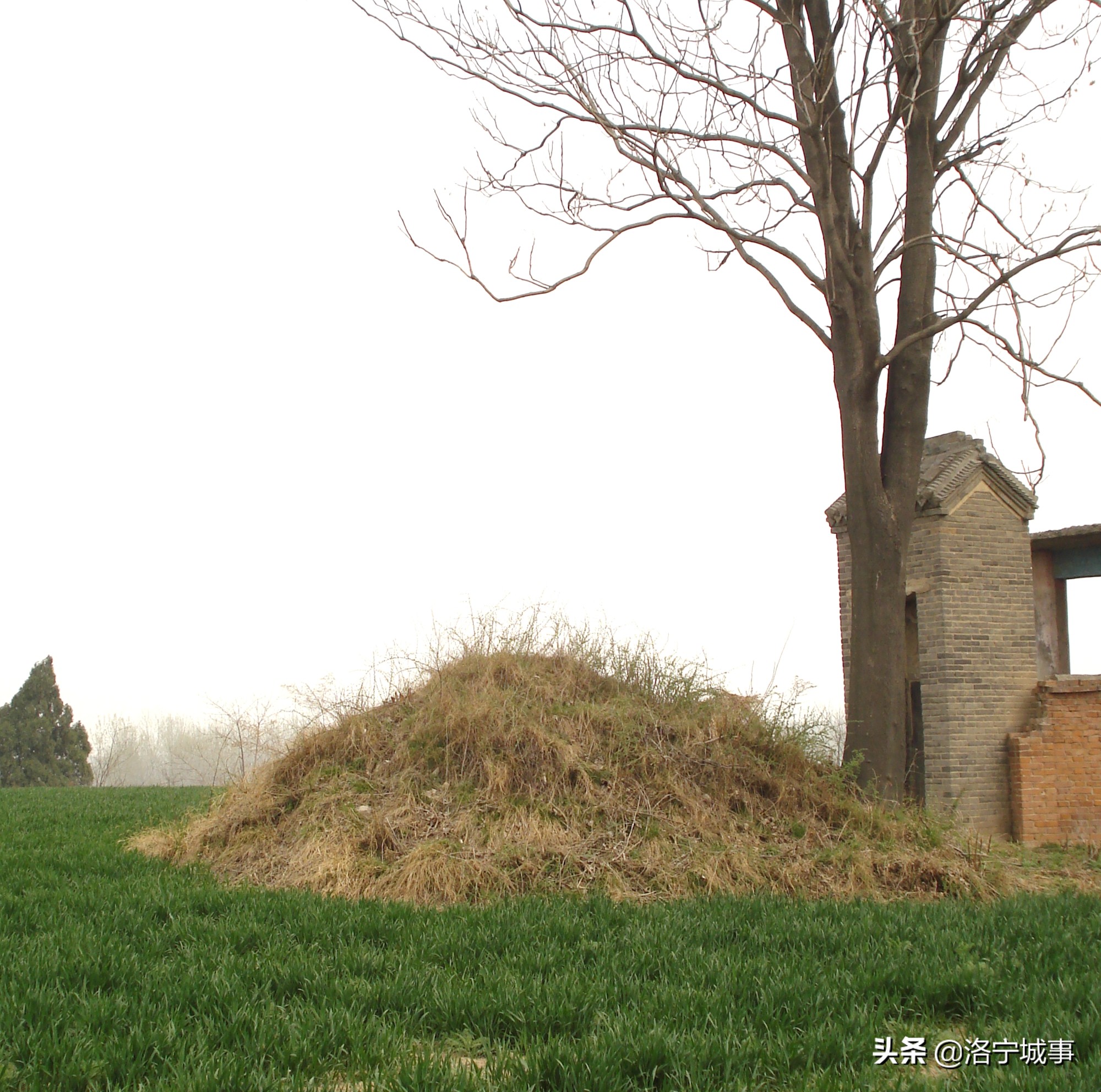 河南洛宁程卫东——武德将军韦仪