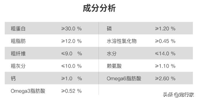 狗粮并不健康,狗粮是不是没有营养