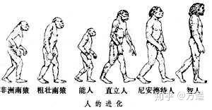 人类是真的经过设计的吗,大胆的推测