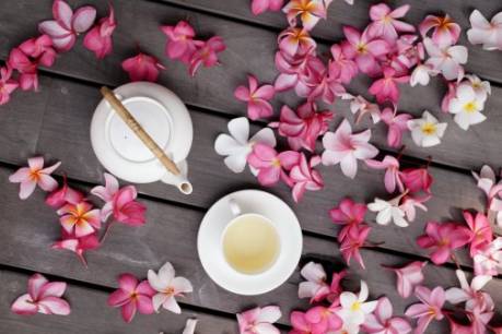 欣赏茶之美,用不同眼光看茶之美