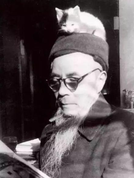 钱钟书宠猫狂魔完整版,林徽因与钱钟书猫的故事