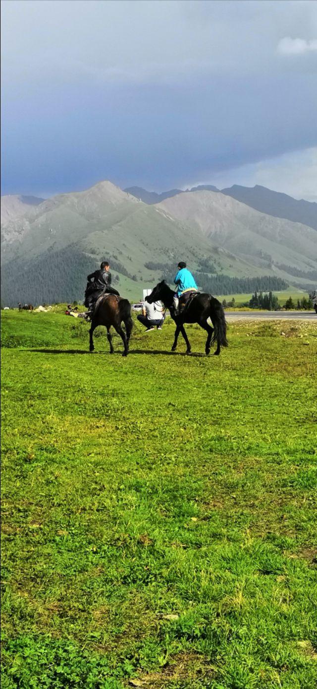 沈阳自驾新疆游攻略,沈阳自驾南疆最佳路线