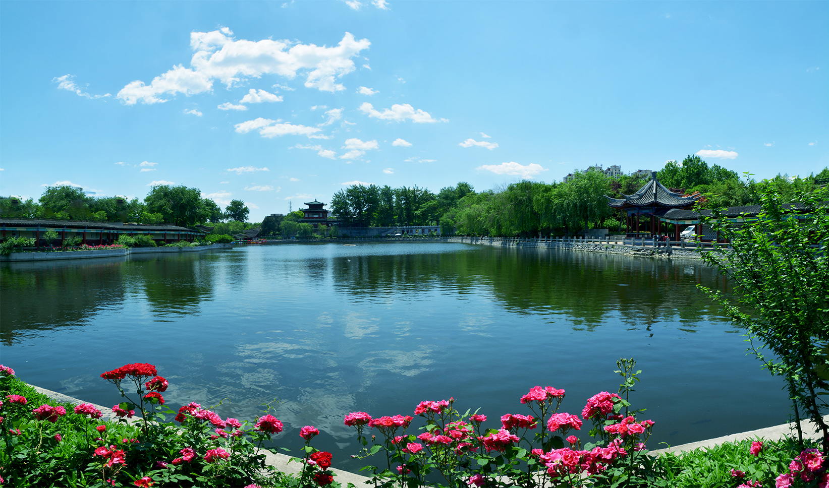 拍摄照片技巧静物光影,外景相机怎样拍出柔和细腻的照片