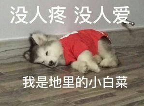 孕期长痘护肤,孕期起痘痘怎么护肤