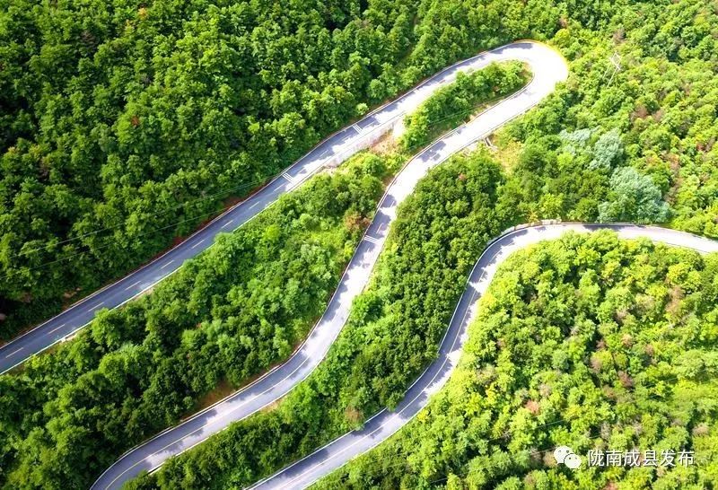 我叫成县，这是我2019年的自拍照~