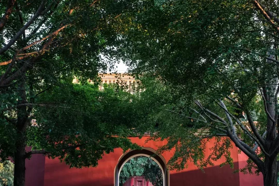 汉字道尽人生智慧路,汉字十大宝典