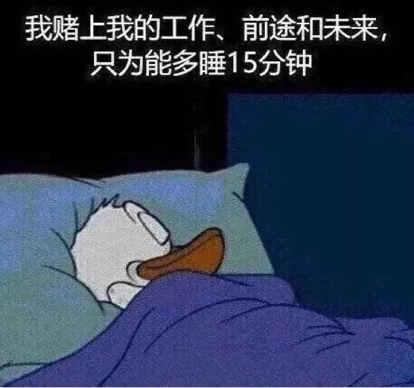 一想到明天要上学就烦表情包,吵什么吵人家明天还要上班表情包