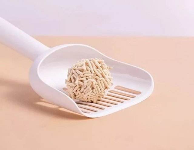 绝育猫为什么会一直往外跑,猫猫绝育会影响排泄吗