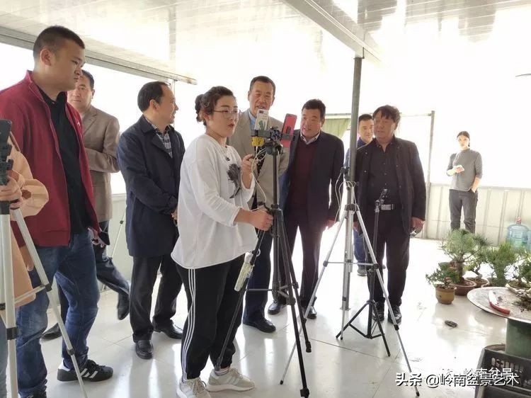 盆景产业的前景,我的盆景创业之路