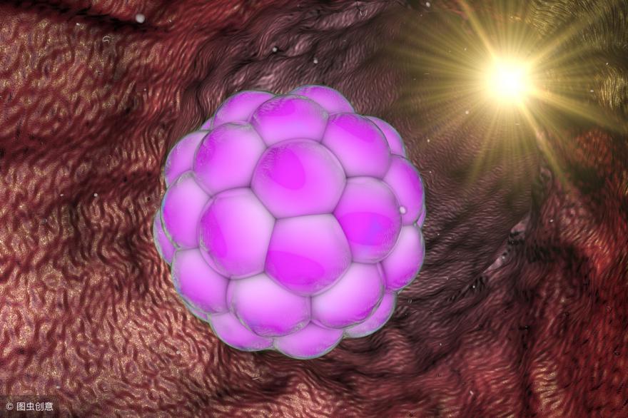 移植胚胎失败有必要中医调理吗,我移植鲜胚9天了还测不出来