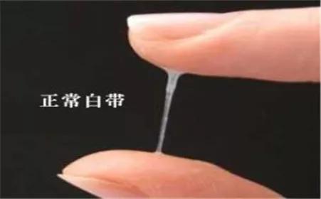 白带不多但有点黄无异味无瘙痒,不痛不痒无异味但白带有点黄绿