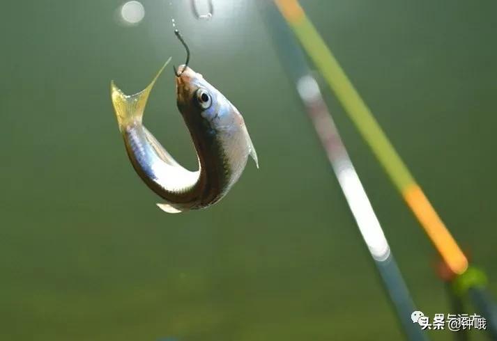 “浦”的水边记忆