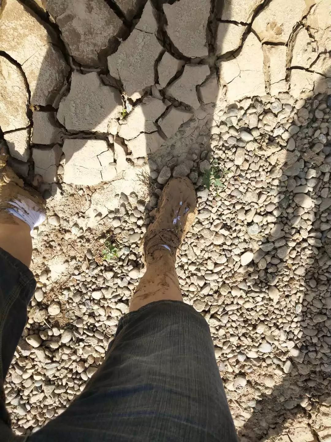 碧桂园扶贫基地在哪里,碧桂园公益扶贫之路