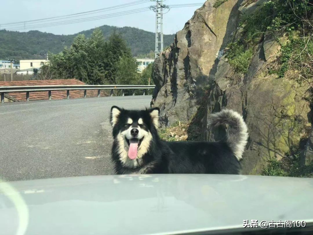 越王峥大峡谷：风景壮美，迷倒众生