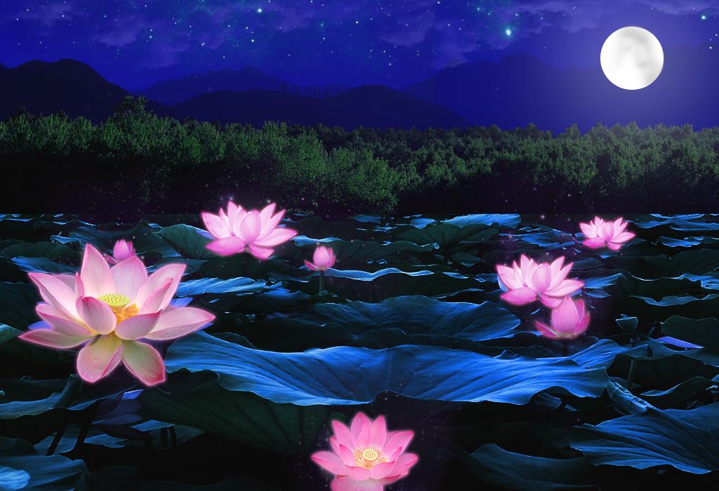 高考必背100个文化常识语文,2021必背高考文化常识