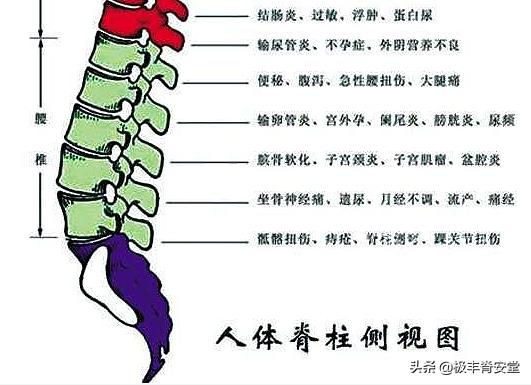 腰部不舒服图片,腰不舒服但是检查都正常