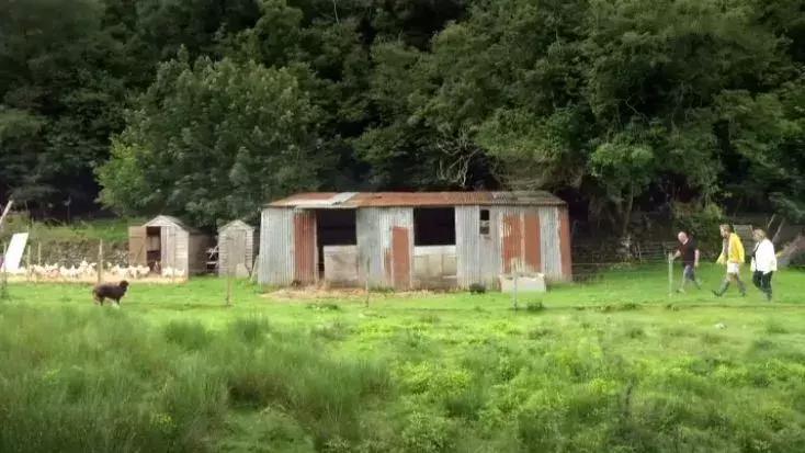 隐居深山30年以种地为生,隐居深山生活养动物