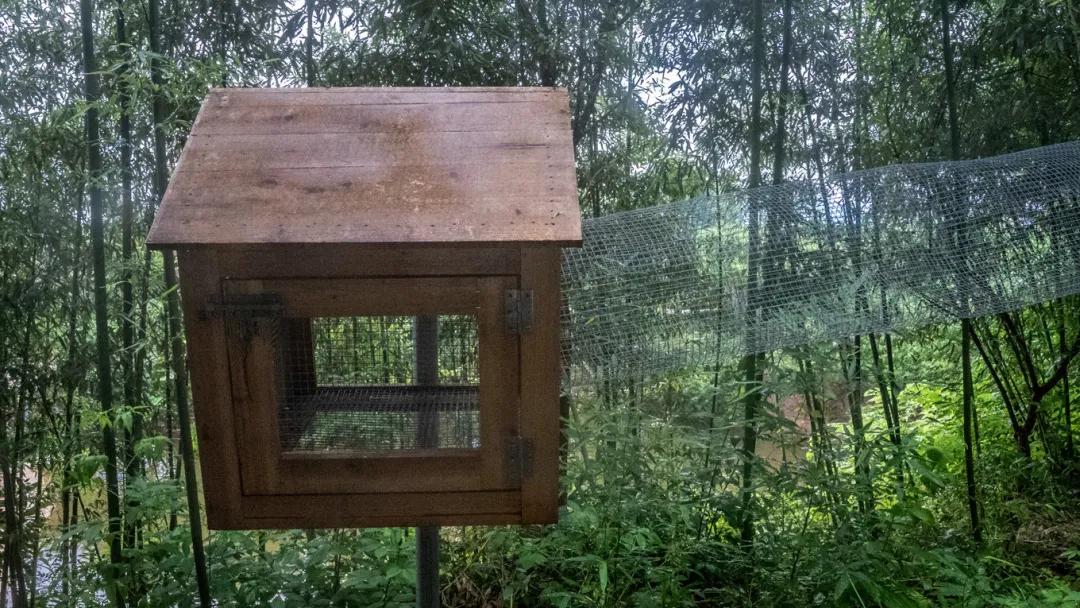 歙县寻古三日游最佳路线,念念不忘自驾游