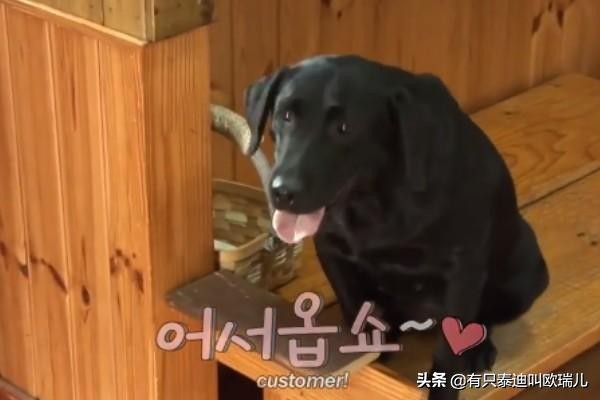 烧烤店迎客递菜单打扫好辛苦？黑拉拉：让专业的来！