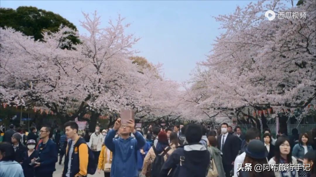 豆瓣9.1分，看过不足1500人，我却复盘了张日本最全野游图
