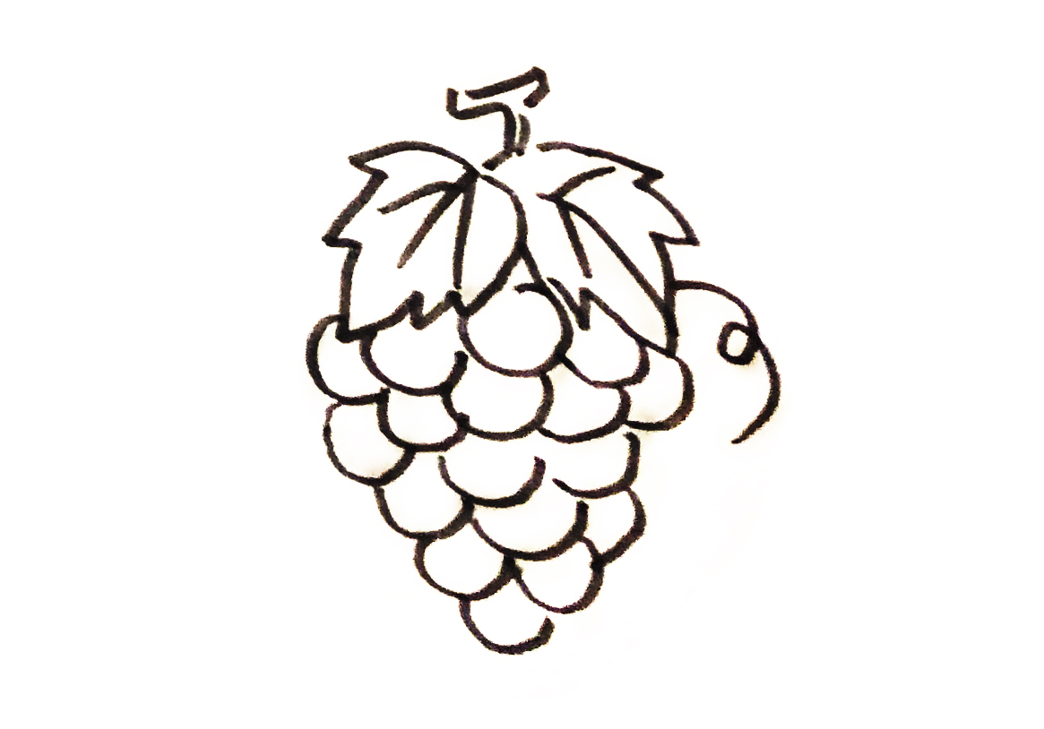 水果画简笔画可爱,卡通简笔画水果怎么画