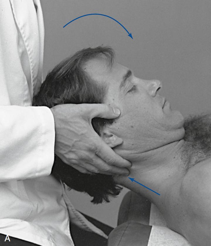 整体脊柱平衡推拿疗法,脊柱正骨推拿