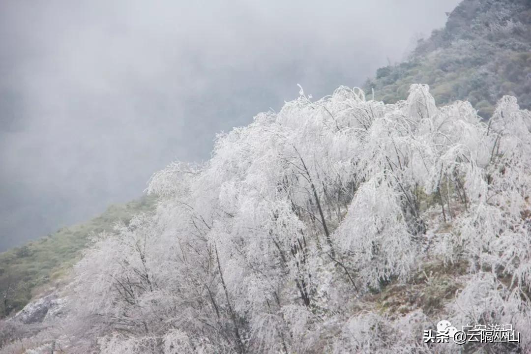 四川广安：2020华蓥山上第一场雪，小伙伴们准备好玩雪了吗？