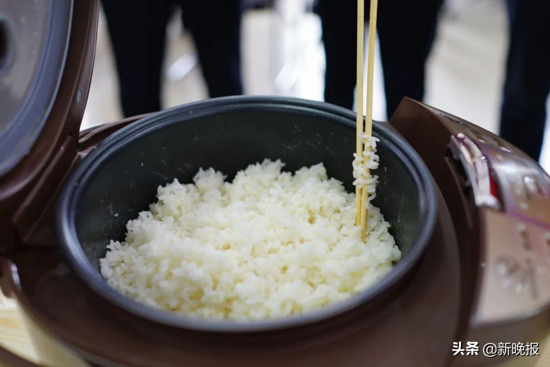 京东打通线上线下助力乡村振兴,京东助力乡村振兴和政府如何合作