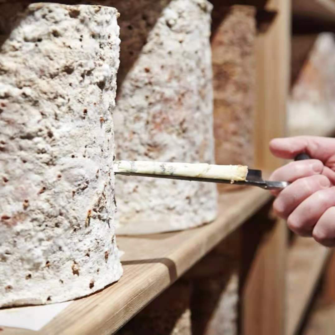 最好吃的芝士配红酒,红酒配芝士是哪一种芝士