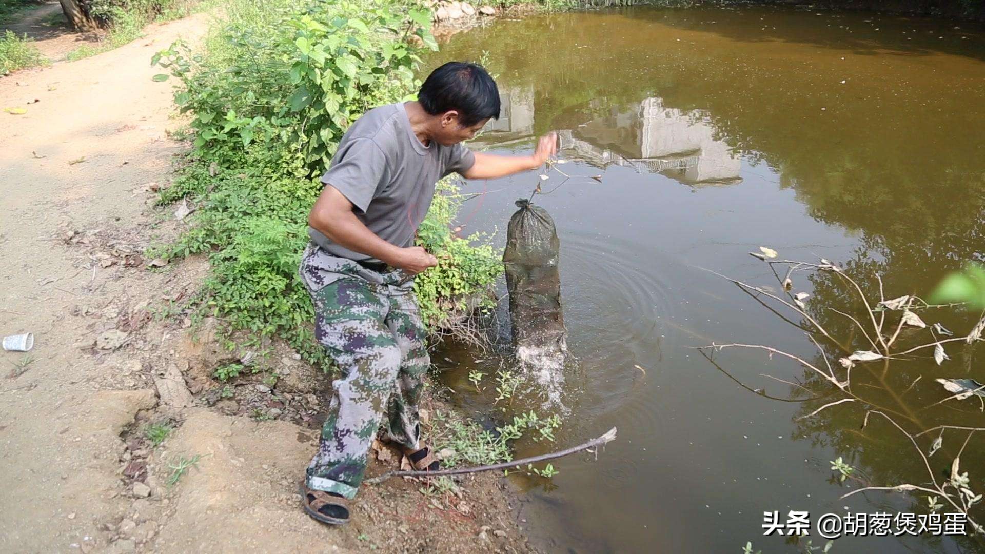 小龙虾地笼怎么停笼,如何使用小龙虾地笼新手入门