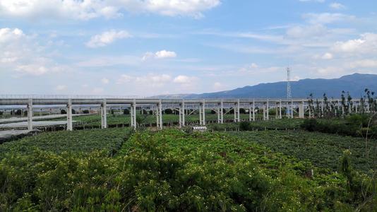 水利类和工程力学专业哪个好,水利工程需要学习的力学