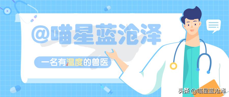 铲屎官要听懂的猫咪求救,铲屎官猫咪的急救信号