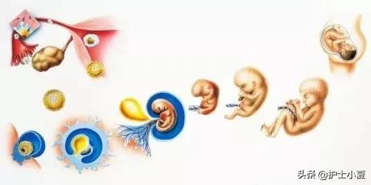 妇科病的预防指南,预防妇科疾病是女性一生的功课